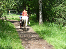 Kind führt Pferd in Richtung Weide