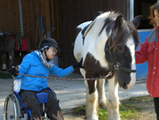 Rollstuhlfahrer speichelt Pferd