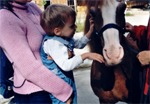 Kleines Kind spührt Nase von Pferd
